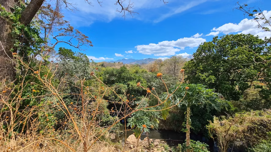 Venta terreno plano para desarrollo c/río al fondo Guácima Alajuela - Imagen 2