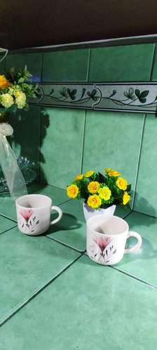 Tazas de café plásticas lindo diseño