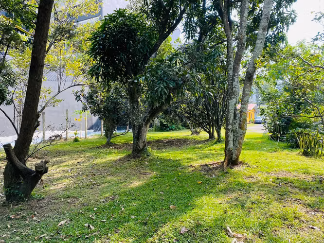 Guachipelín. Terreno uso de suelo mixto. LO-162 - Imagen 4