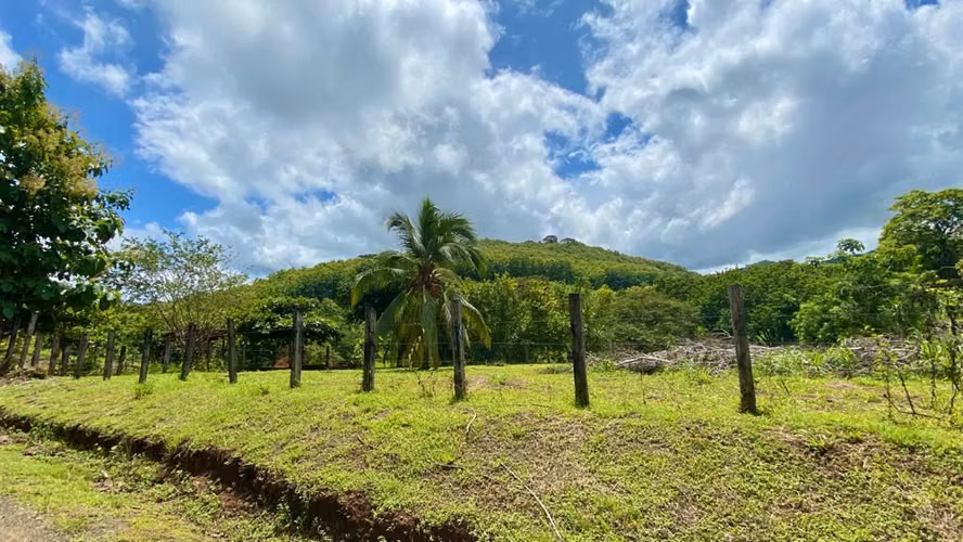 Lote en venta, Guanacaste, a 15-20 minutos de Playa Carrillo y Sámara. - Imagen 5