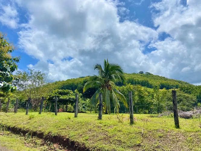 Lote en venta, Guanacaste, a 15-20 minutos de Playa Carrillo y Sámara. - Imagen 7