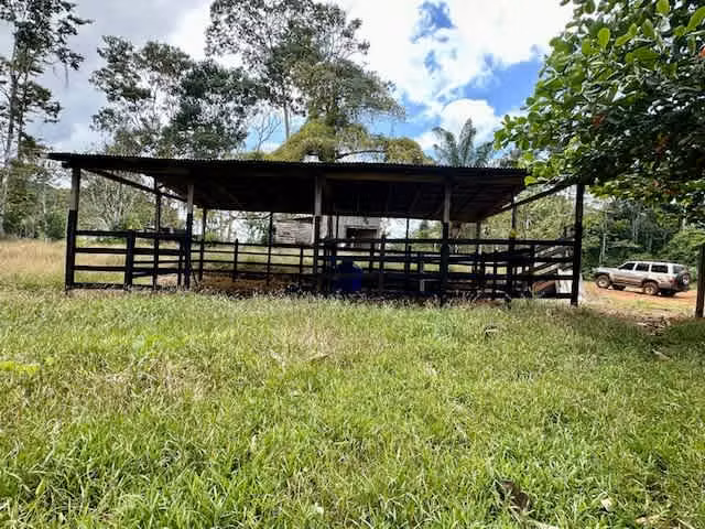 Venta finca Alajuela San Carlos 146 HECT X $800 MIL DOL