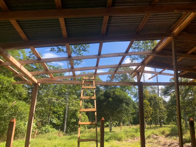 Venta finca Alajuela San Carlos 146 HECT X $800 MIL DOL
