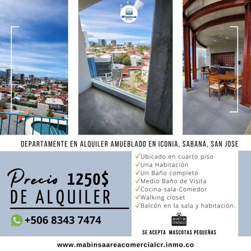 Alquiler de Apartamentos  Amueblado  en Iconia.