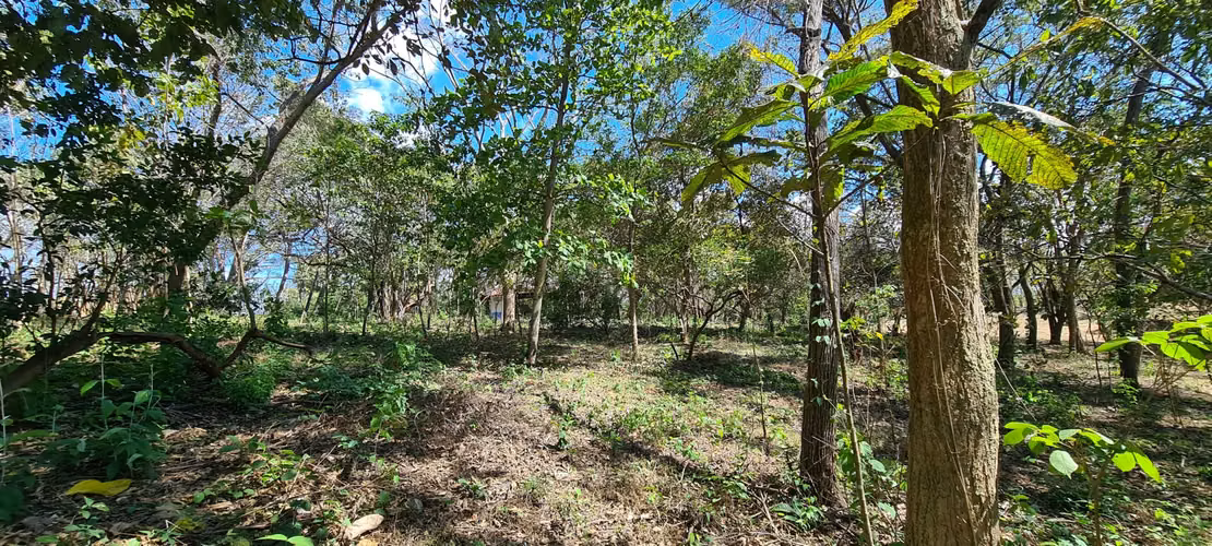 Venta gran terreno 1 ha + 2,996 m2 Cuarros - Tárcoles cerca de Bajamar - Imagen 4