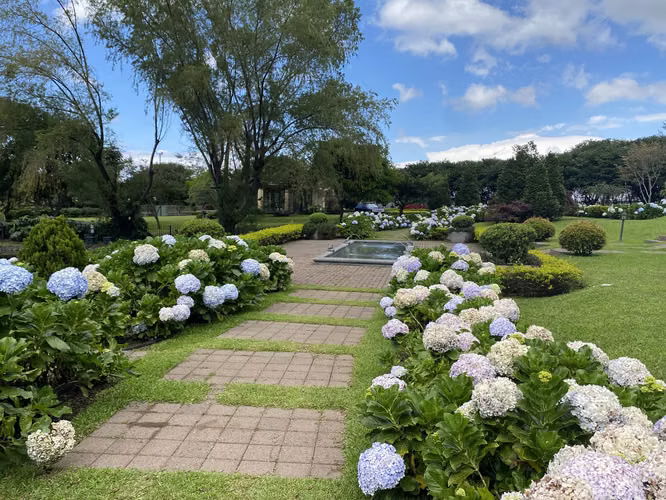 Vende Condominio El Olivar Colinas de Montealegre, Tres Ríos
