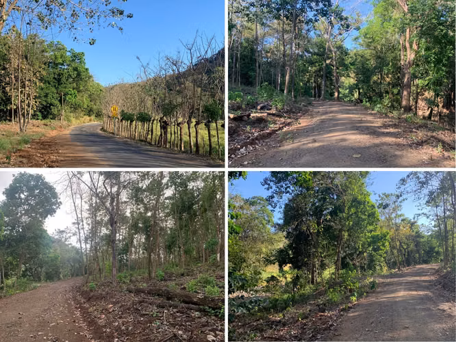 Lotes de rio a 18 minutos de la Playa Samara - Imagen 9