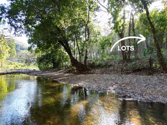 Lotes de rio a 18 minutos de la Playa Samara - Imagen 6