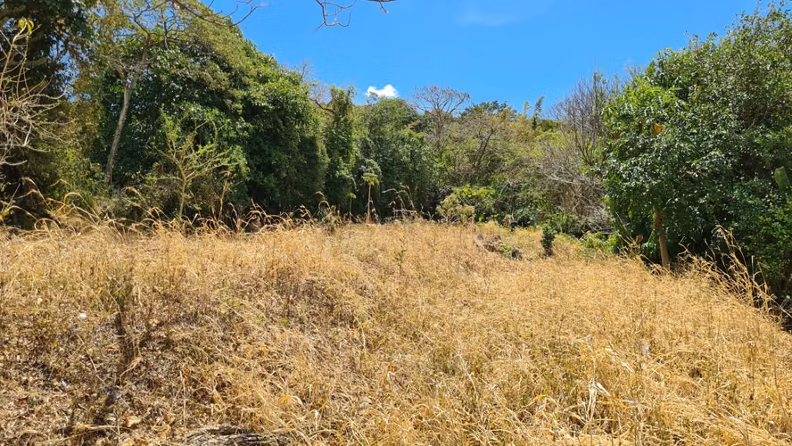 Venta de lote: 1,560 m² en Brasil de Mora - Ciudad Colón - Imagen 2