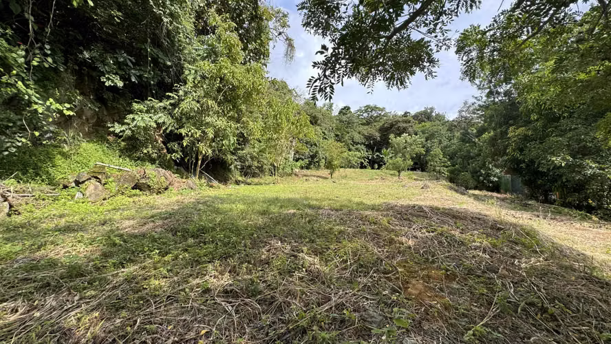 Venta de lote: 1,560 m² en Brasil de Mora - Ciudad Colón - Imagen 5