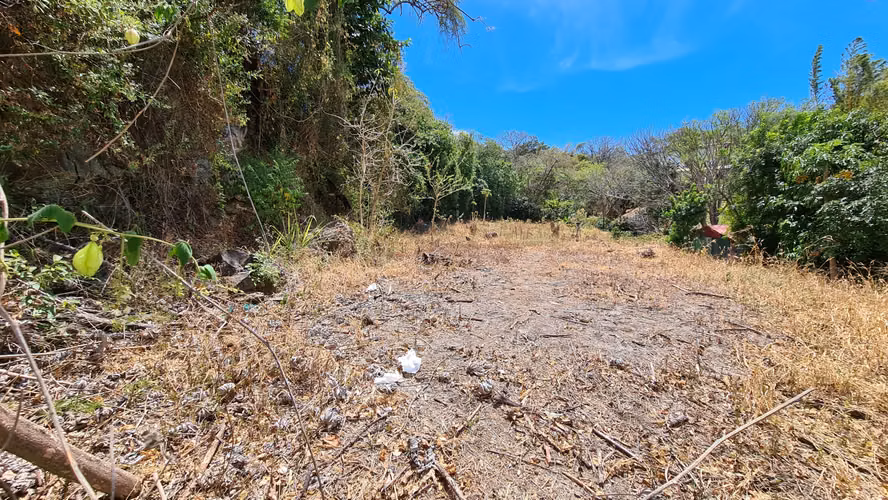 Venta de lote: 1,560 m² en Brasil de Mora - Ciudad Colón - Imagen 9