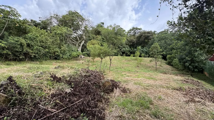 Venta de lote: 1,560 m² en Brasil de Mora - Ciudad Colón - Imagen 4