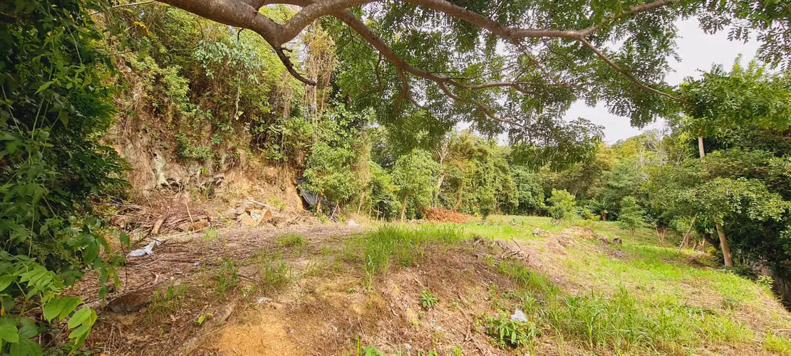 Venta de lote: 1,560 m² en Brasil de Mora - Ciudad Colón - Imagen 7