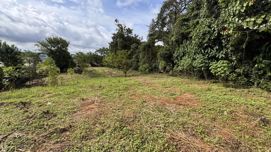 Venta de lote: 1,560 m² en Brasil de Mora - Ciudad Colón - Imagen 8