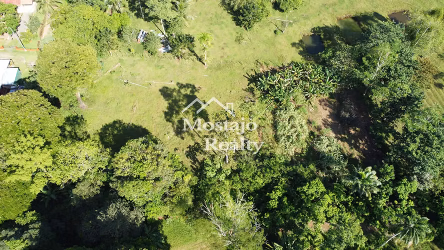 OPORTUNIDAD!! 3000 m2,  Lote en Horquetas de Sarapiquí, Heredia. - Imagen 8