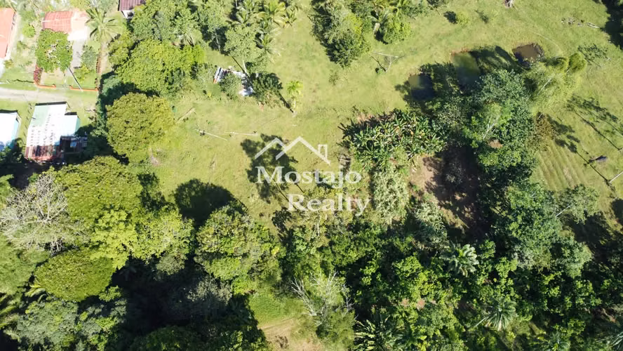 OPORTUNIDAD!! 3000 m2,  Lote en Horquetas de Sarapiquí, Heredia. - Imagen 7