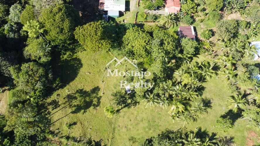 OPORTUNIDAD!! 3000 m2,  Lote en Horquetas de Sarapiquí, Heredia. - Imagen 2