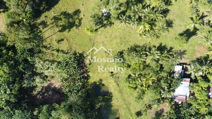 OPORTUNIDAD!! 3000 m2,  Lote en Horquetas de Sarapiquí, Heredia. - Imagen 14