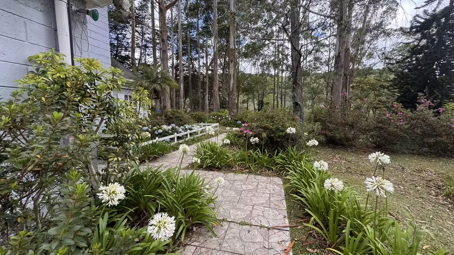 Vivir en Dota • Quinta | Espacio, Naturaleza y Fácil Acceso