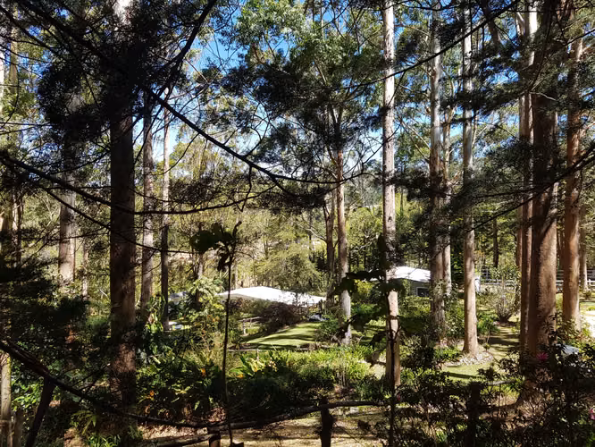 Quinta de Oportunidad en Santa María de Dota: Naturaleza y Gran Potencial (6,055 m²) - Imagen 2