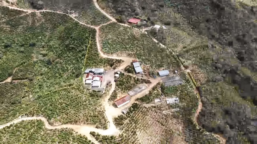 Se vende Finca de café HH, San Cristóbal, Zona de los Santos (FE).