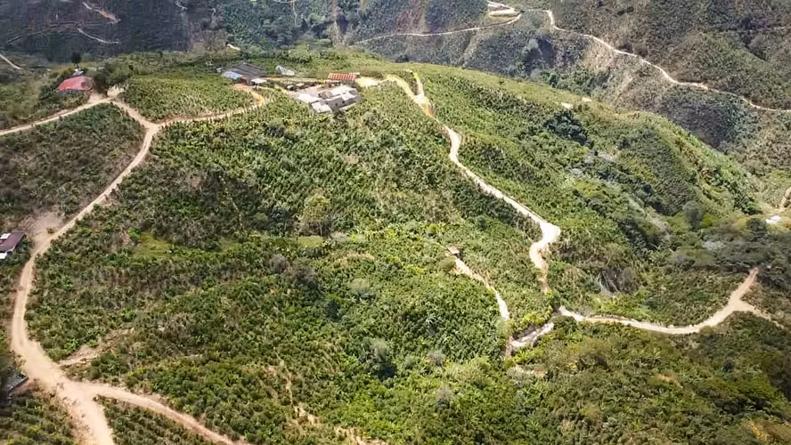 Se vende Finca de café HH, San Cristóbal, Zona de los Santos (FE).