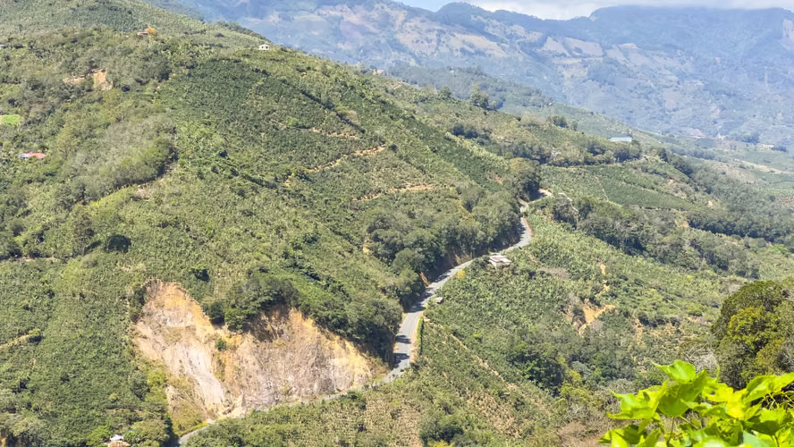 Se vende Finca de café HH, San Cristóbal, Zona de los Santos (FE).