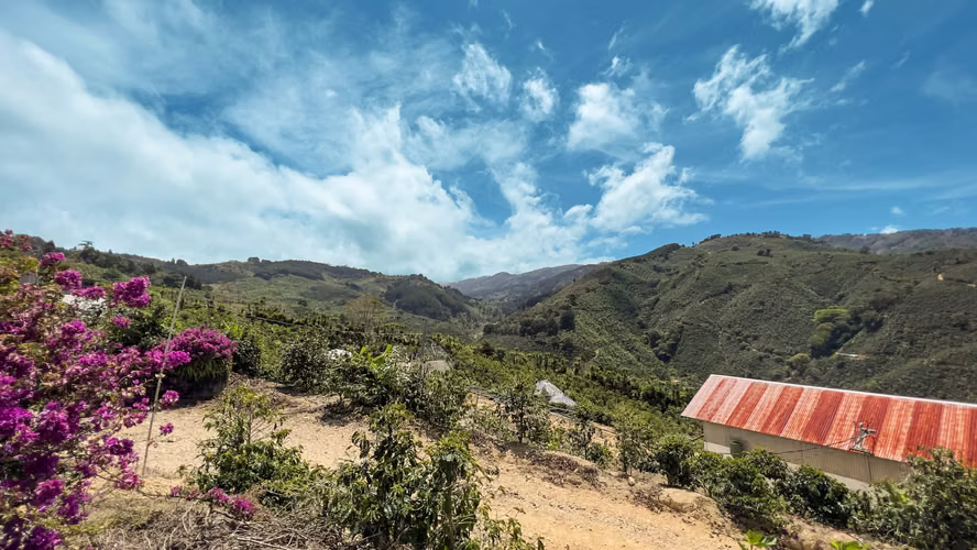 Se vende Finca de café HH, San Cristóbal, Zona de los Santos (FE).