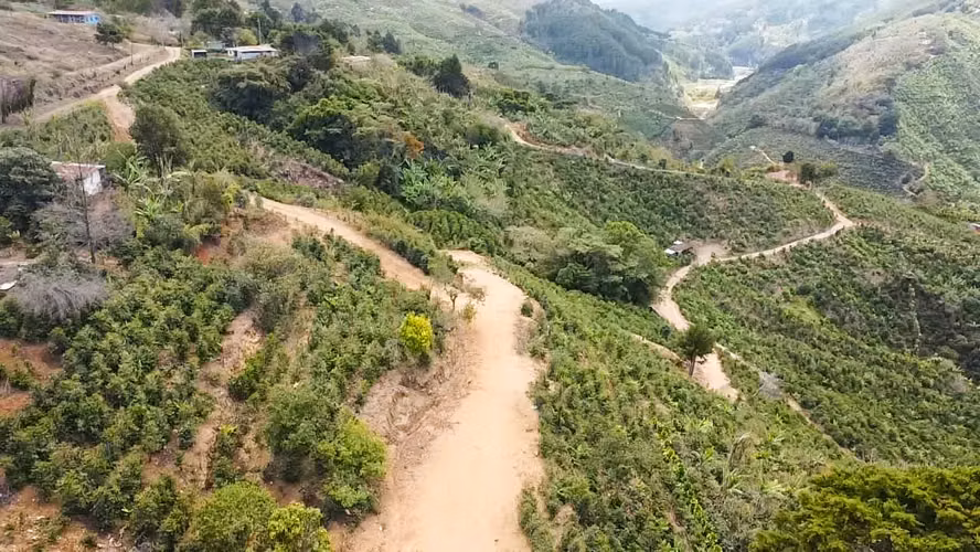 Se vende Finca de café HH, San Cristóbal, Zona de los Santos (FE).