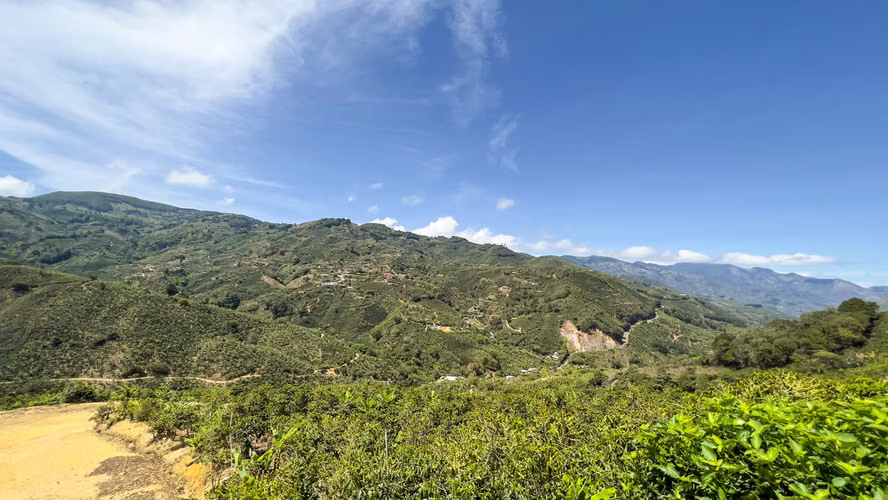 Se vende Finca de café HH, San Cristóbal, Zona de los Santos (FE).