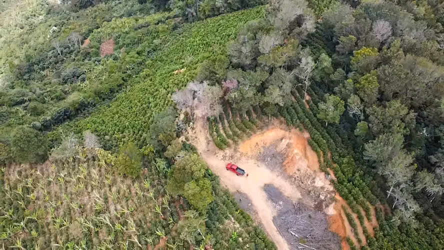 Se vende Finca de café HH, San Cristóbal, Zona de los Santos (FE).