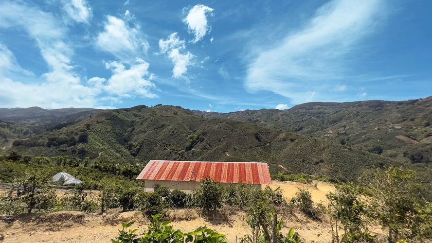Se vende Finca de café HH, San Cristóbal, Zona de los Santos (FE).