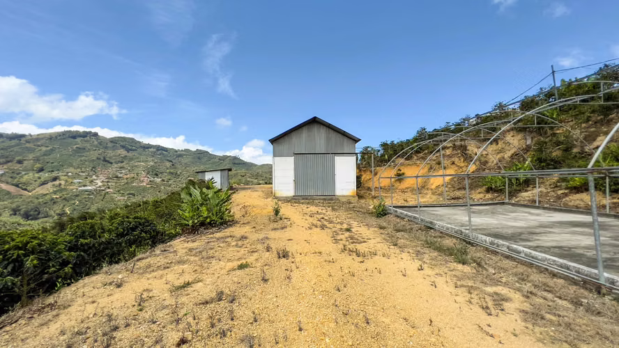 Se vende Finca de café HH, San Cristóbal, Zona de los Santos (FE).