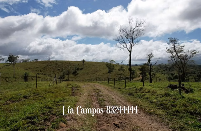 VENTA DE FINCA GANADERA EN GUANACASTE - Imagen 5