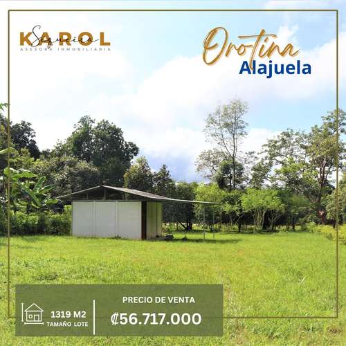 SE VENDE LOTES EN OROTINA