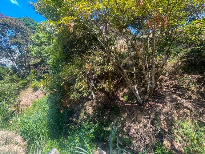 Se vende terreno ubicado en Patarrá, Desamparados (AD). - Imagen 11