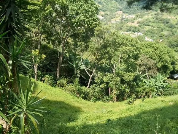 En communidad,casa estilo Ranch 11 hects de naturaleza Caballos ! - Imagen 9