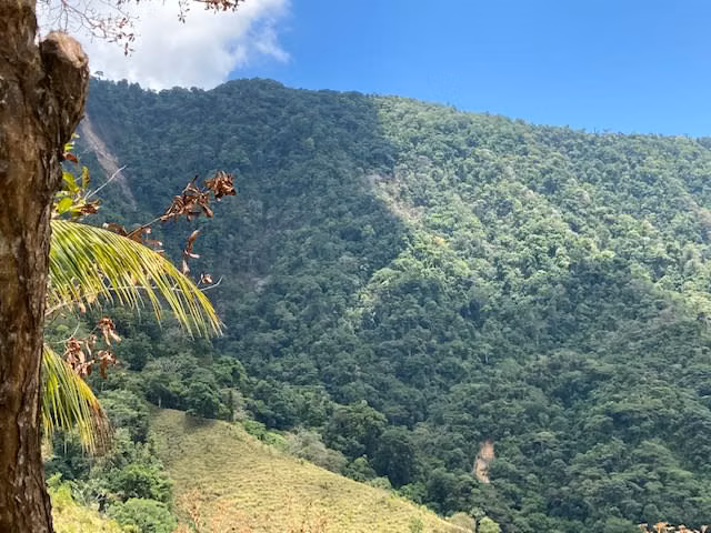 Finca de 46 hectareas en la pura naturaleza con vista excepcional .