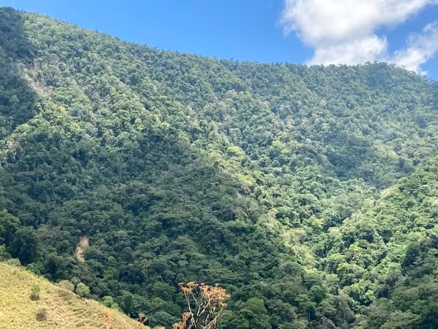 Finca de 46 hectareas en la pura naturaleza con vista excepcional .