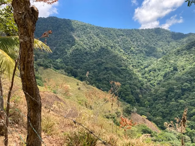 Finca de 46 hectareas en la pura naturaleza con vista excepcional .