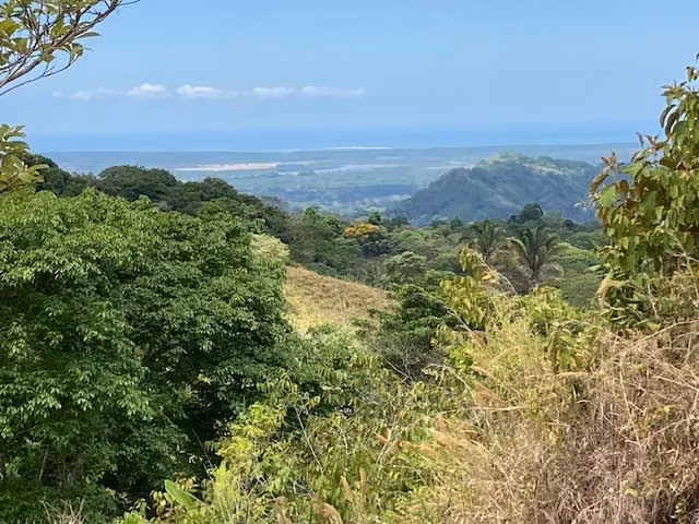 Finca de 46 hectareas en la pura naturaleza con vista excepcional .