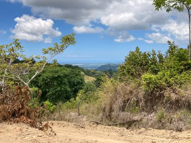 Finca de 46 hectareas en la pura naturaleza con vista excepcional .