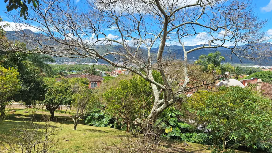 Lote en Venta ubicado en Residencial Colinas de Montealegre - Imagen 7