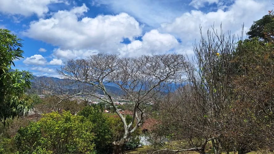 Lote en Venta ubicado en Residencial Colinas de Montealegre - Imagen 8
