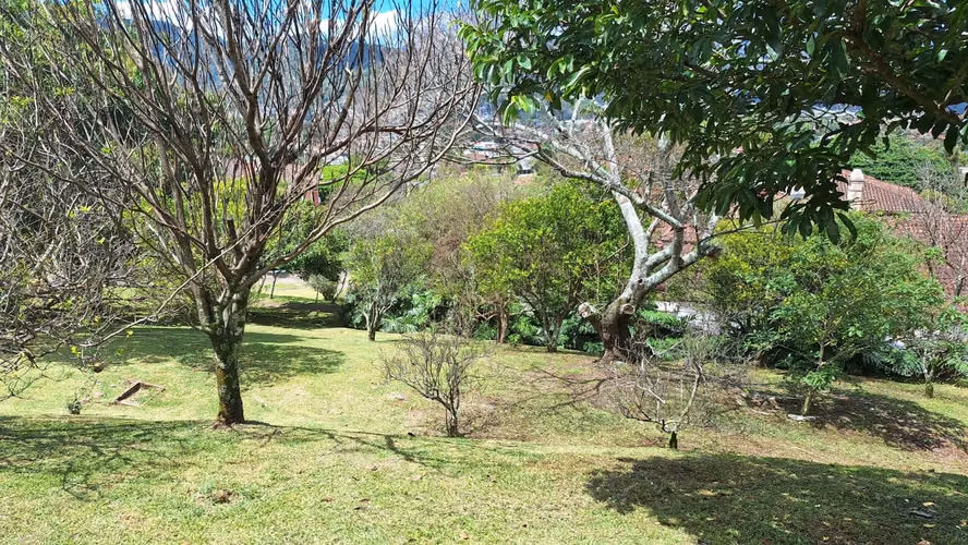 Lote en Venta ubicado en Residencial Colinas de Montealegre - Imagen 3