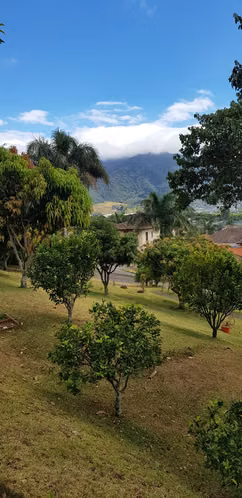 Lote en Venta ubicado en Residencial Colinas de Montealegre - Imagen 9