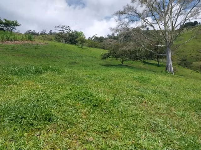 Venta finca Cartago Turrialba GANGA 6  y 1/2 HECT X 50 MILL COL