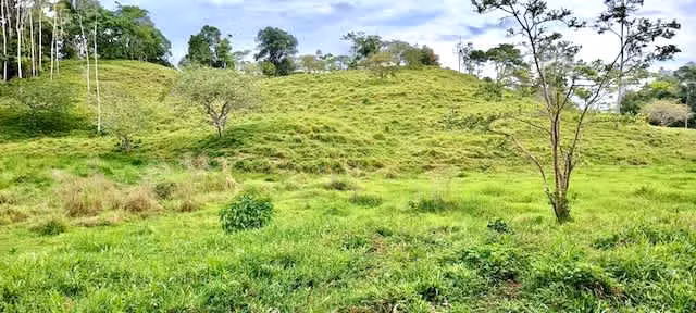 Venta finca Cartago Turrialba GANGA 6  y 1/2 HECT X 50 MILL COL