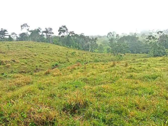 Venta finca Cartago Turrialba GANGA 6  y 1/2 HECT X 50 MILL COL