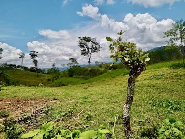Venta finca Cartago Turrialba GANGA 6  y 1/2 HECT X 50 MILL COL